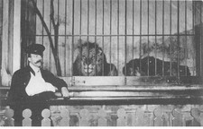 Spectacle - Cirque - Dompteur Franck Bostock - Lion