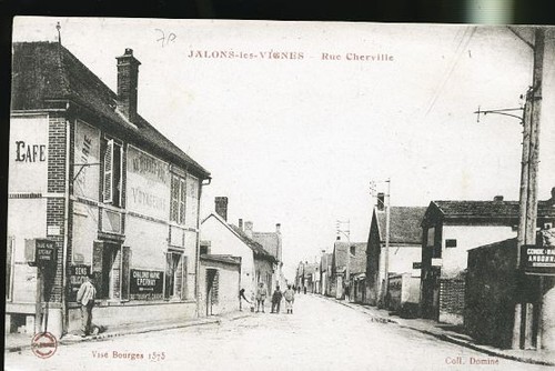 Jalons les vignes - vignes,