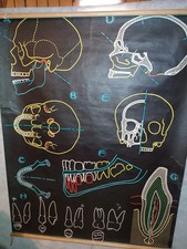 CARTE SCOLAIRE DR AUZOUX - LA MACHOIRE / DENT  - P SOUGY  - 100X130 CM - VINTAGE