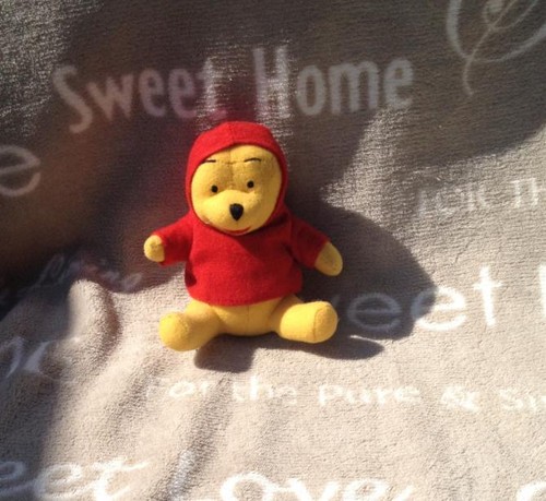Peluche winnie sweat capuche - peluche,