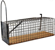 Piège nasse à rat longueur 28 cm socle bois MASY