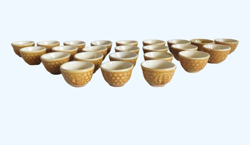 Godet coquille escargot lot - coquille,