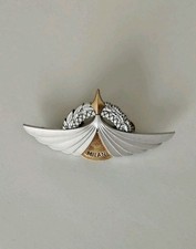 Insigne brevet tireur - brevet,
