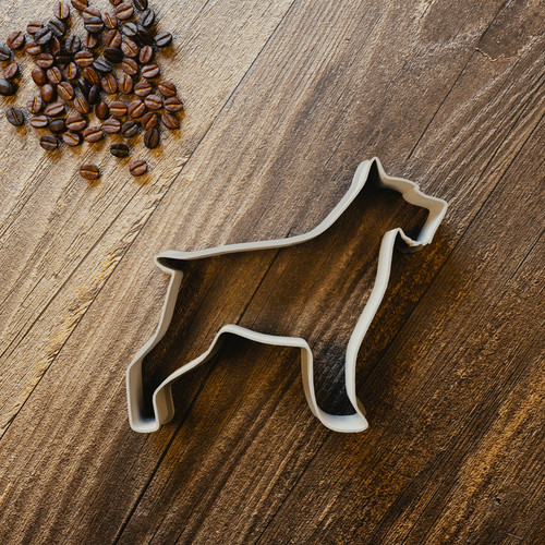 Airedale terrier coupe biscuit - terrier,