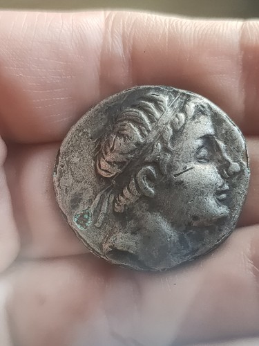 Tetradrachme tétradrachm - tetradrachme,