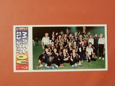 IMAGE PANINI CHAMPIONS 98