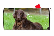 Brown Dog Vinyl Magnetic