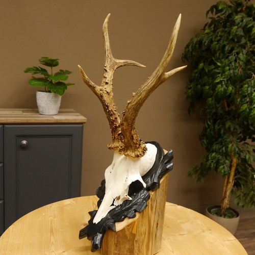 Bois cervidés 7 cm - bois, de