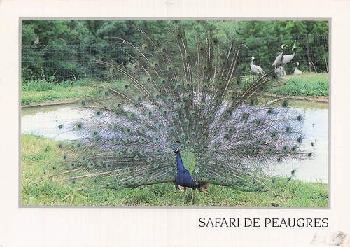 Peaugres safari - peaugres,