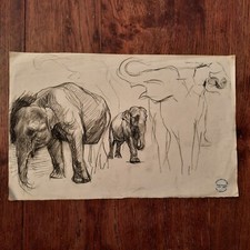 Dessin Ancien René Herisson