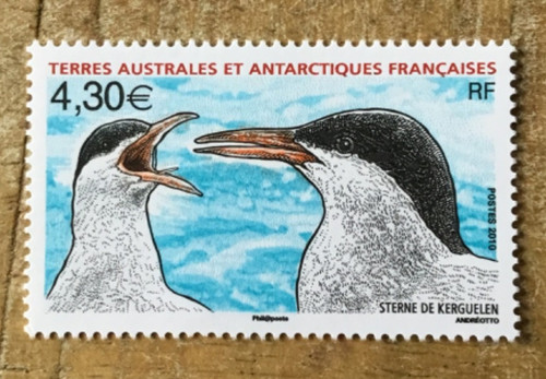 Timbres taaf sterne de - taaf,,