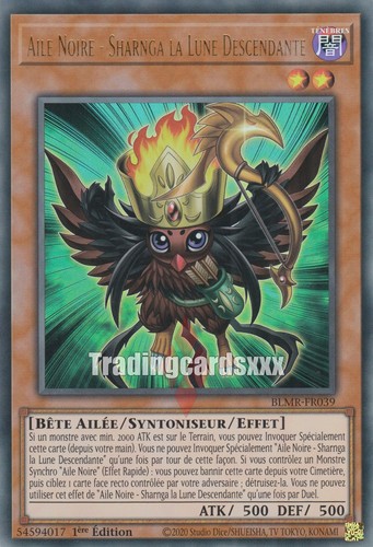 Aile noire sharnga - yu-gi-oh!,