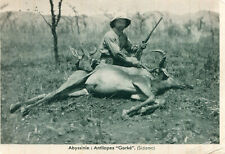 Carte ETHIOPIE Abyssinie Chasseur avec fusil Antilopes Gorké tuées Sidamo