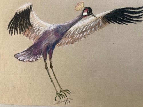 Beau dessin 1980 oiseau - dessin, crayon