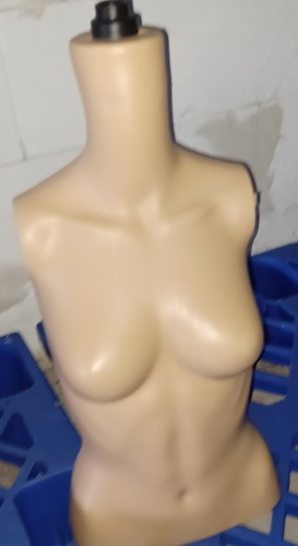 Buste femme mannequin