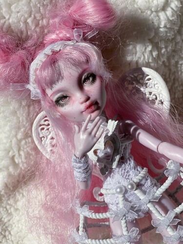 Monster high doll - high,