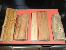 lot de bois nobles,ébénisterie,tournage,maquette,coutellerie,buis,orme,ébène eur