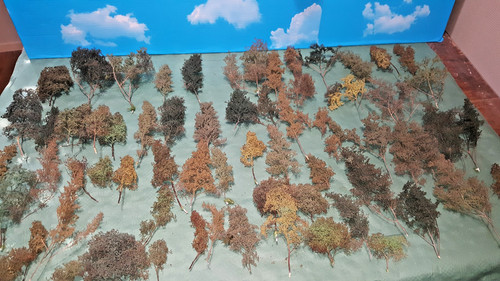 Lot arbres zeechuim - 55,