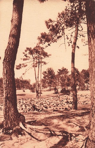 Ile oleron maison - ile, d