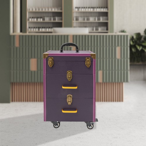 Portable makeup train case - makeup,