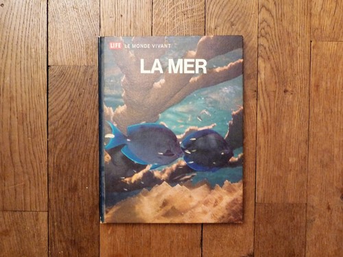 Mer le monde - mer-,