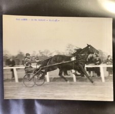 Grande Photo Presse Cheval Trotteur Ram Mohun Prix De Soulac 1947 Horse Racing