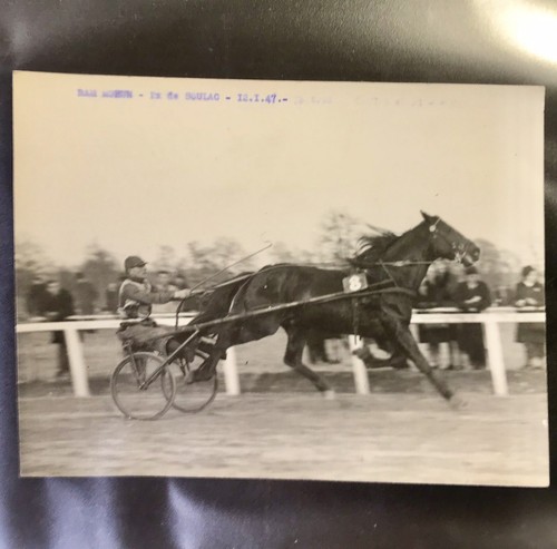 Grande photo presse cheval - grande,