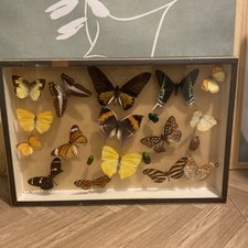 Boîte Cadre Vitrée -