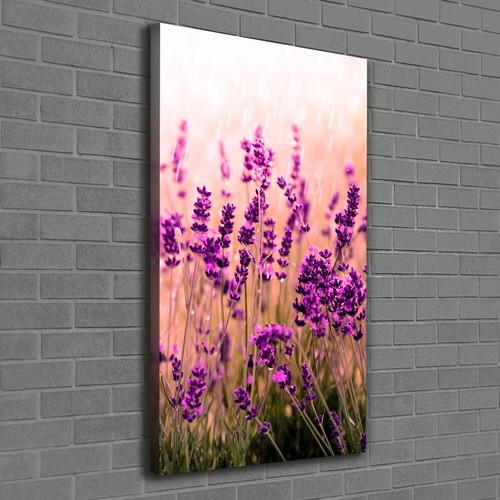 Tulup tableau sur toile image - tulup,