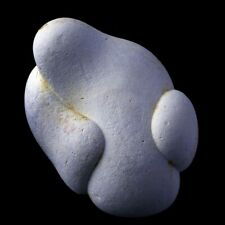 ★☆ GOGOTTE MAROC de