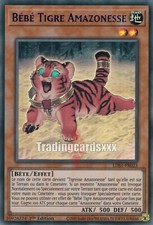 ♦Yu-Gi-Oh!♦ Bébé Tigre Amazonesse : LDS1-FR023 UR
