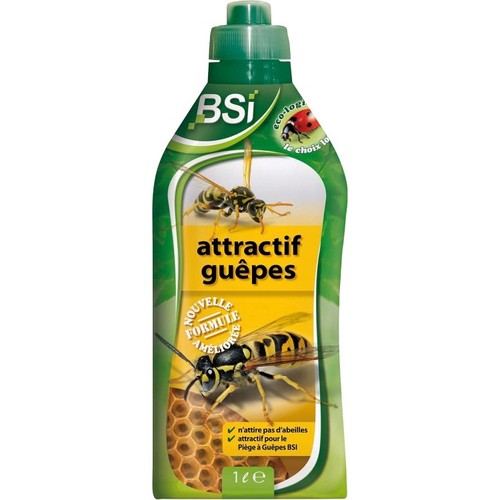 Bsi attractif puissant - puissant,