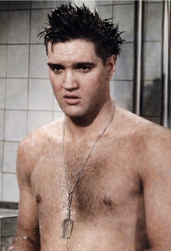 Elvis presley poster 17 - presley,