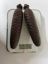 2/ Ancienne paire de gros poids de 1.5 kg pour coucou.