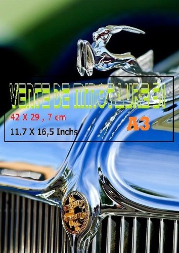 Mascotte auto 1933 chrysler - mascotte,