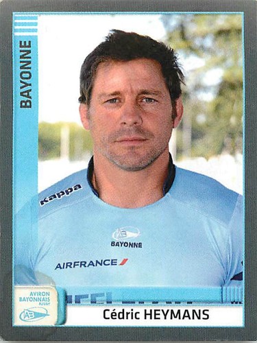 Panini rugby 2012 2013 cedric - 2012,
