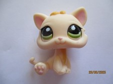 PETSHOP CHATON N°1128