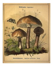 Affiche d'art mural vintage