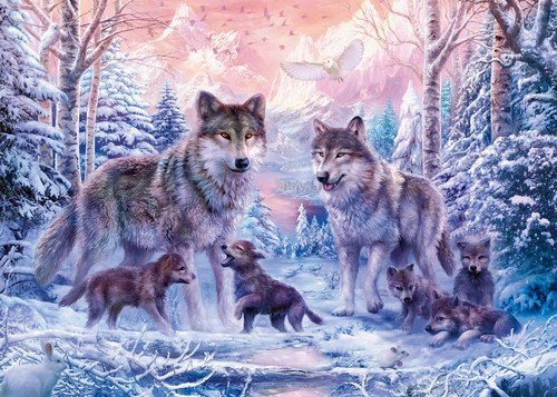 Puzzle adulte - puzzle,