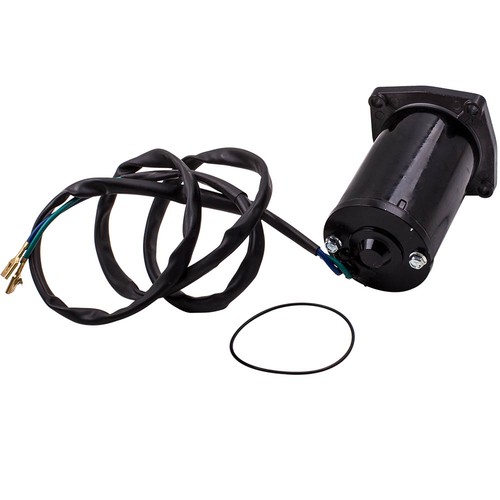 Tilt motor for evinrude - for, /