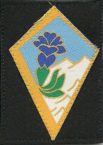 Insigne tissu patch - insigne,