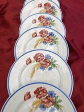 6 belles assiettes Salins