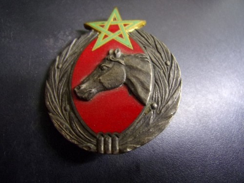 Afn etablissement hippique - afn,