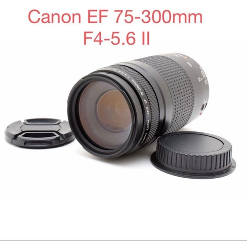 Objectif zoom canon - zoom, ef