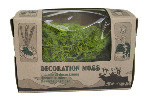 Mousse lichen vert norske - mousse,