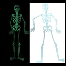 Deco Halloween Squelette