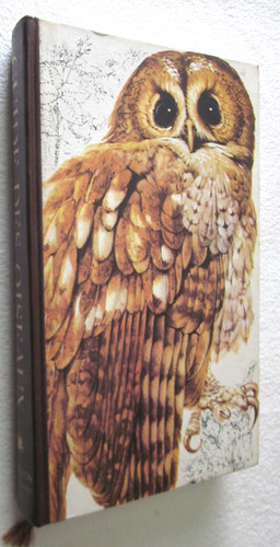 Ornithologie guide des - ornithologie, :