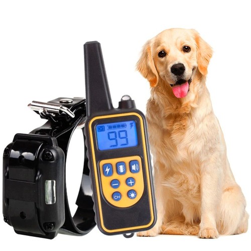 Collier dressage chien - chien,