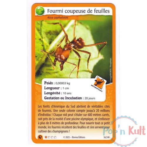 Carte défis nature protect - carte,