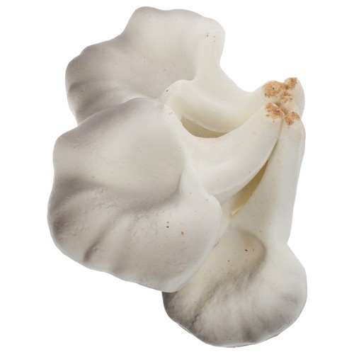 Décor cuisine champignon - de,